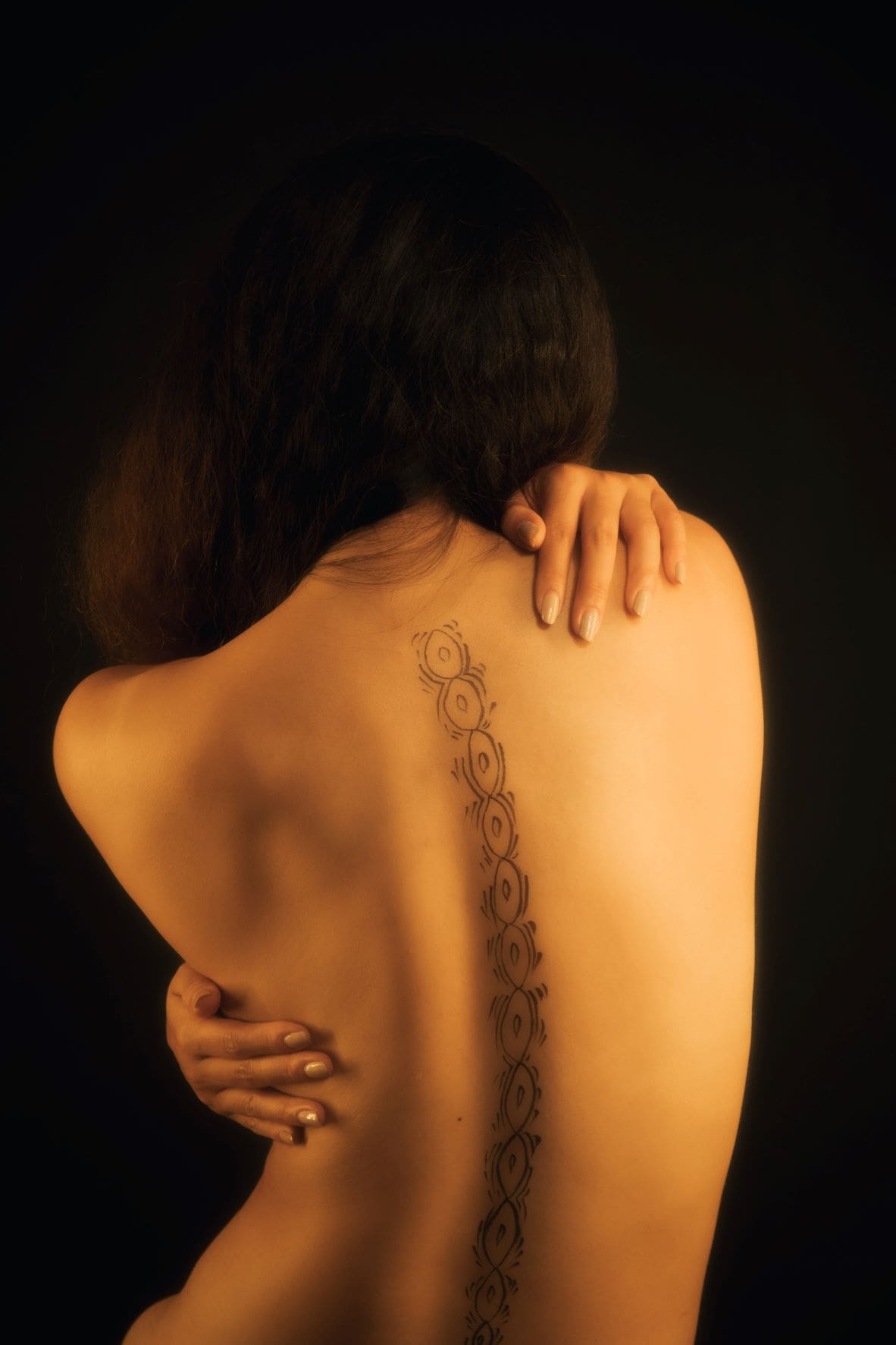 The Human Spine