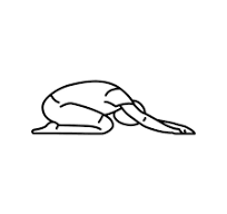 shows back neck exercise